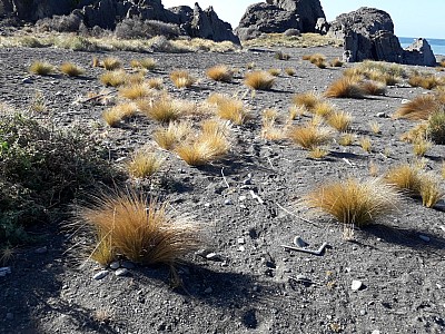 2BH-poa-after.jpg: 2064x1548, 919k (2019 Feb 04 00:00)