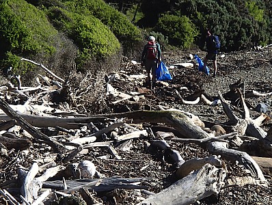HuntingThroughTheDriftwood.jpg: 1000x753, 949k (2015 Aug 13 00:00)