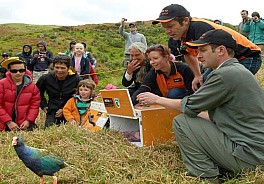 click to see gallery

Do C
2015-03-17&nbsp;
Original size:&nbsp;820 x 572; 84 kB
Filename:&nbsp;'2015-03-17 DoC'