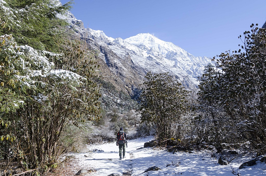 click on the photo to download the original image

2025-05-20 geoffm