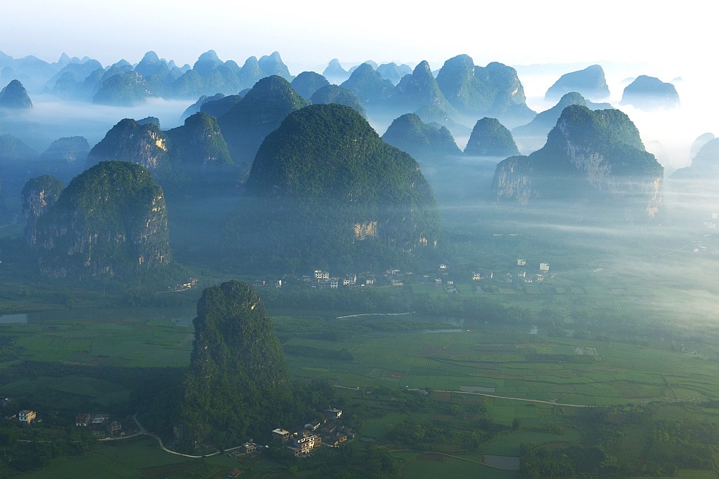 click on the photo to download the original image

2025-07-08 lesmolloy