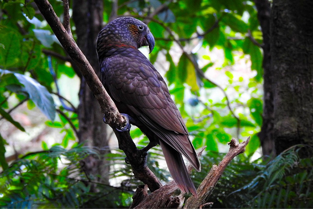 click on the photo to download the original image

2025-07-22 tirthkaka