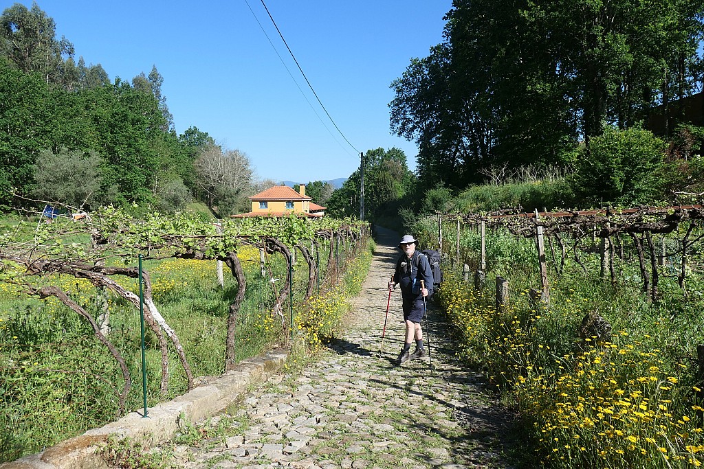 click on the photo to download the original image

2025-09-23 clough