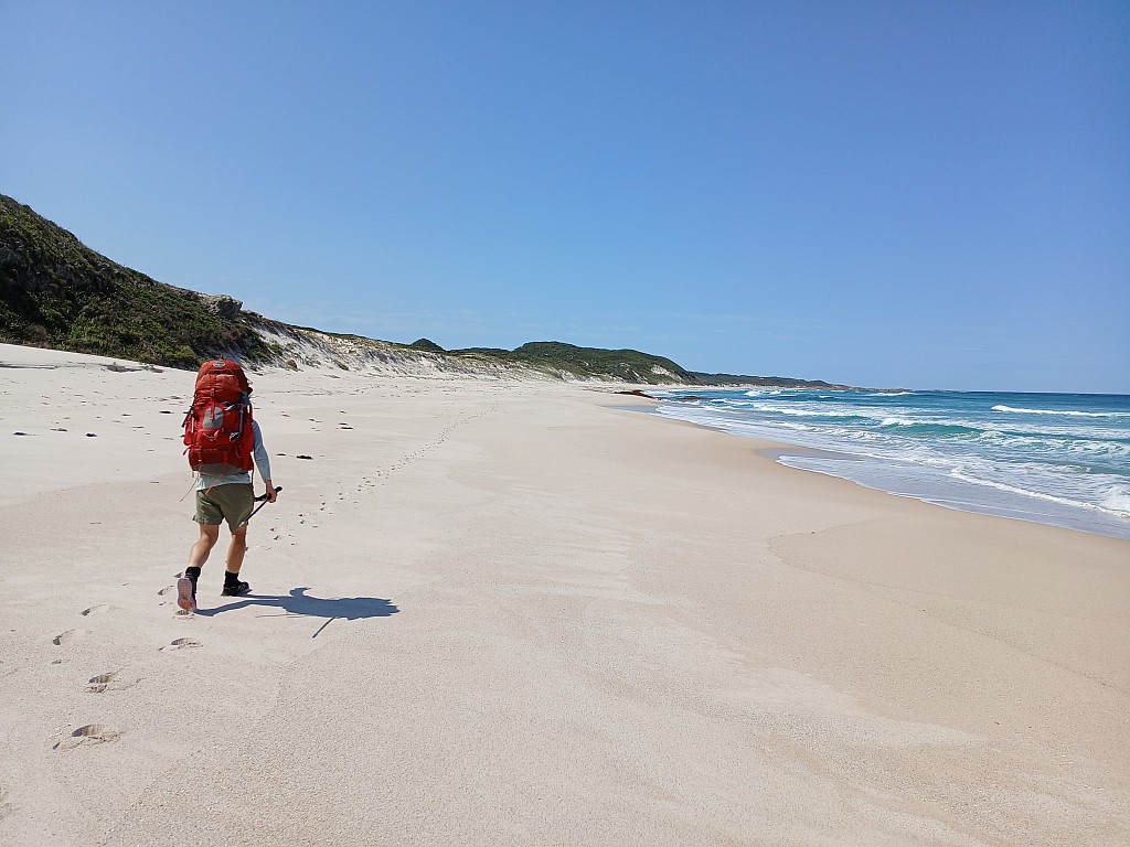 click on the photo to download the original image

2025-06-17 bibbul