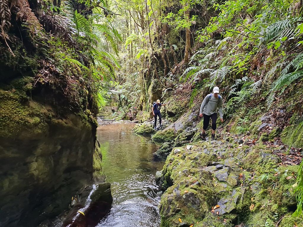 click on the photo to download the original image

2025-10-14 bruceb