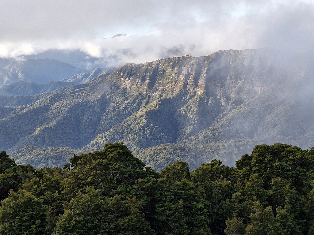 click on the photo to download the original image

2025-11-18 paparoaliz