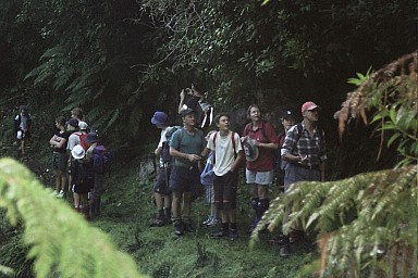 click to see gallery

-Limestone Creek Exit
2006-04-15&nbsp;
Original size:&nbsp;768 x 512; 64 kB
Filename:&nbsp;'2006-04-15-limestone creek exit'