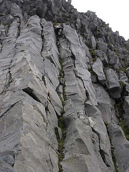 08 Fed makes it to the top.jpg: 600x800, 53k (2014 Jul 21 06:35)