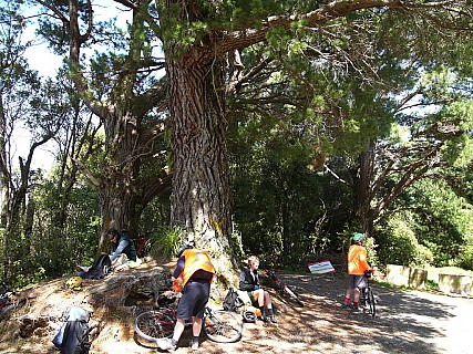 Lunch
Photo:&nbsp;'2008 Oct 27 12:12'
Original size:&nbsp;1,024 x 768; 291 kB
Filename:&nbsp;'lunch'