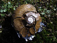 click to see gallery

Crushed Abode -
Photo:&nbsp;Daniel Rogerson
Photo:&nbsp;'2008 May 10 12:07'
Original size:&nbsp;1,024 x 768; 855 kB
Filename:&nbsp;'Crushed Abode - Daniel Rogerson'