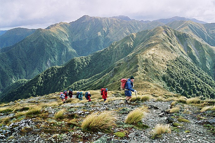 From Jumbo - 
Photo:&nbsp;Peter Smith
Original size:&nbsp;1,024 x 683; 985 kB
Filename:&nbsp;'From Jumbo -  Peter Smith'