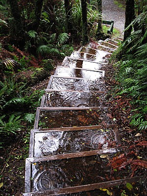 click to see gallery

Below bushline - Rainy day on the West Coast - Di Hill
Photo:&nbsp;Anne
Photo:&nbsp;'2010 Apr 13 16:34'
Original size:&nbsp;768 x 1,024; 1,275 kB
Filename:&nbsp;'Below bushline - Rainy day on the West Coast - Dianne Hill'