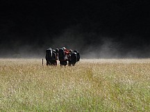 click to see gallery

Young Forks
Photo:&nbsp;Janette Roberts
Photo:&nbsp;'2011 Jan 08 21:39'
Original size:&nbsp;1,237 x 929; 1,010 kB
Filename:&nbsp;'BBL-TTC-Janette Roberts-Young Forks'