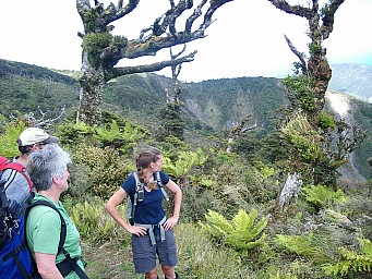 click to see gallery

On top
Photo:&nbsp;'2012 Jan 14 12:02'
Original size:&nbsp;1,024 x 768; 319 kB
Filename:&nbsp;'On_top'