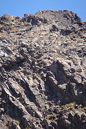 2012-03-16 15.12.10 Pic5.jpeg: 534x800, 205k (2014 Jul 21 06:47)