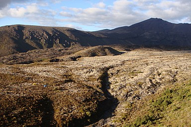 2012-03-16 18.28.13 Pic7.jpeg: 800x534, 244k (2014 Jul 21 06:47)