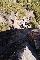 2012-03-17 11.05.55 Pic12.jpeg: 528x800, 222k (2014 Jul 21 06:47)