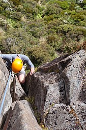 2012-03-17 12.31.42 Pic14.jpeg: 528x800, 227k (2014 Jul 21 06:47)