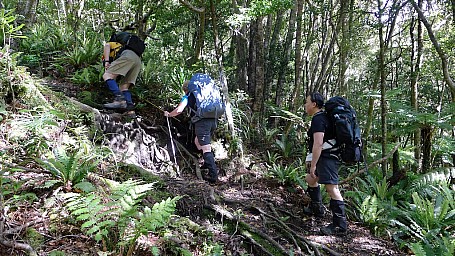 getting up there.jpg: 1024x576, 476k (2014 Jul 21 06:56)