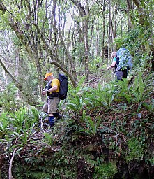 more offtrack.jpg: 884x1024, 624k (2014 Jul 21 06:56)