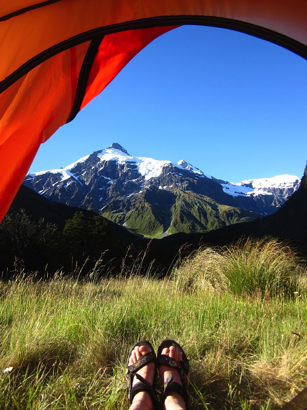 click on the photo to download the original image

HCL-TTC-Susi Lang-view of Mt Pollux from my tent