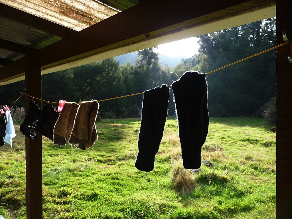 click on the photo to download the original image

HCL-TTC-Peter Whiteford-Sunny Socks