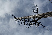 click to see gallery


Photo:&nbsp;'2013 Sep 29 12:42'
Original size:&nbsp;5,184 x 3,456; 4,632 kB
Filename:&nbsp;'IMG_3024'