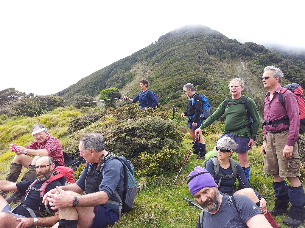 click on the photo to download the original image

Mt Matthews trip about October 2013 Marg Pearce