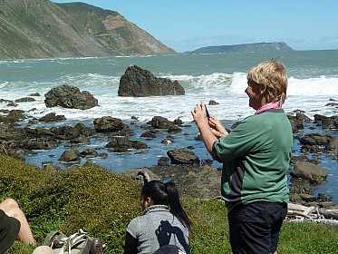 Pukerua Bay coast trip about October  2013
Photo:&nbsp;Marg Pearce
Photo:&nbsp;'2013 Oct 16 11:14'
Original size:&nbsp;3,264 x 2,448; 2,697 kB
Filename:&nbsp;'Pukerua Bay coast trip about October 2013 Marg Pearce'