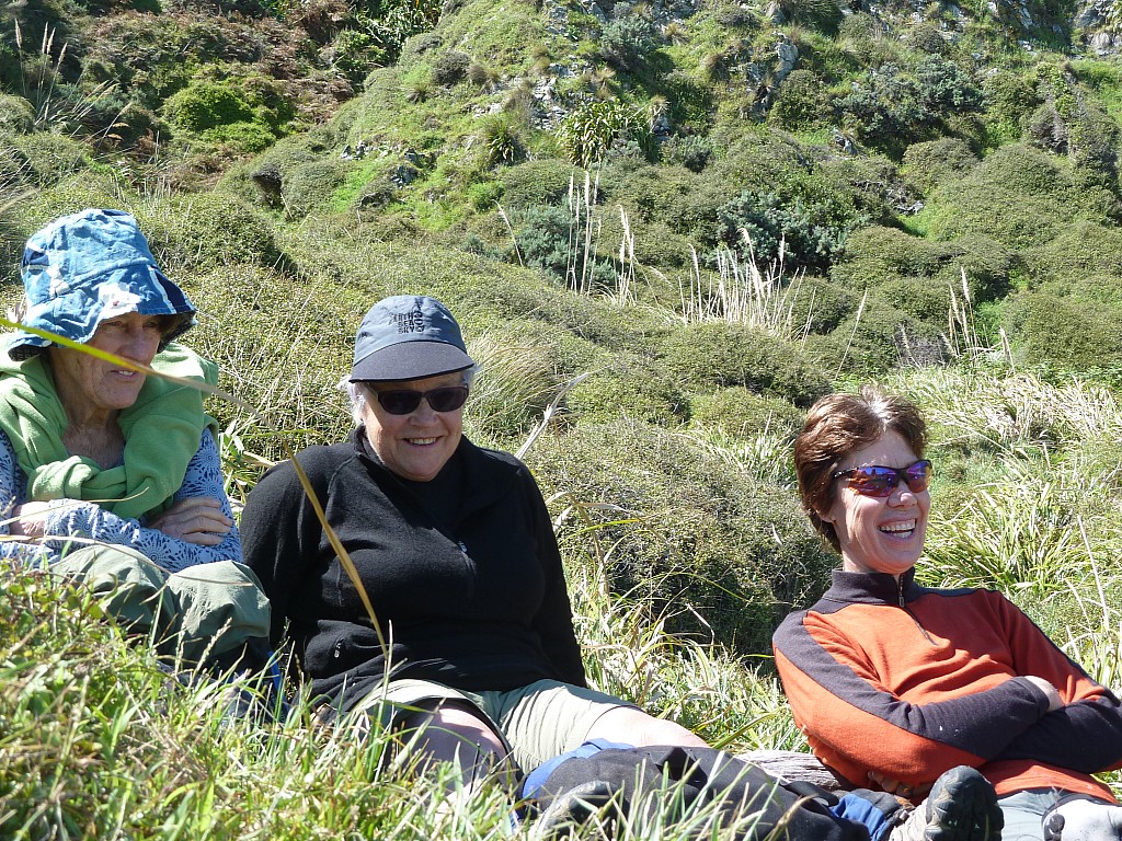 click on the photo to download the original image

Pukerua Bay coast about October  2013 Marg Pearce