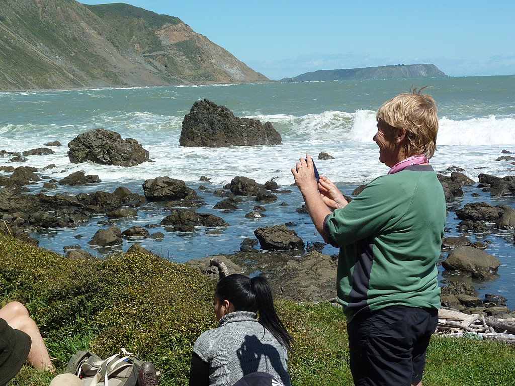 click on the photo to download the original image

Pukerua Bay coast trip about October 2013 Marg Pearce
