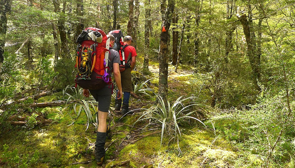 click on the photo to download the original image

P1010786