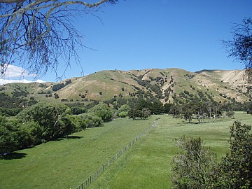 click to see gallery

PB 297712
Photo:&nbsp;Sian
2014-11-29&nbsp;14.06.10&nbsp;Photo:&nbsp;'2014 Nov 29 14:06'
Original size:&nbsp;3,072 x 2,304; 2,997 kB
Filename:&nbsp;'2014-11-29 14.06.10 PB297712 Sian - '