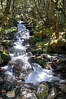 click to see gallery

Stream near Cupola
Photo:&nbsp;Pete Smith
Photo:&nbsp;'2014 Feb 03 13:16'
Original size:&nbsp;1,944 x 2,896; 2,606 kB
Filename:&nbsp;'BBLTararua TCPete Smith Stream near Cupola'