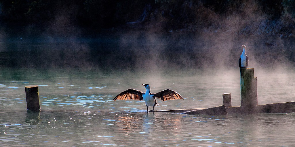 click on the photo to download the original image

NFFTararua TCSyd Moore The Show-off