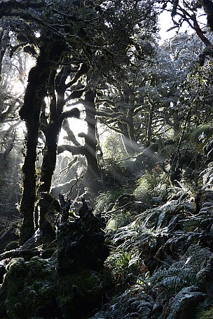 Jesus
Photo:&nbsp;Anita Radcliffe
Photo:&nbsp;'2015 Aug 08 14:04'
Original size:&nbsp;3,072 x 4,608; 3,612 kB
Filename:&nbsp;'BBL-TTC-Anita Radcliffe-Jesus'