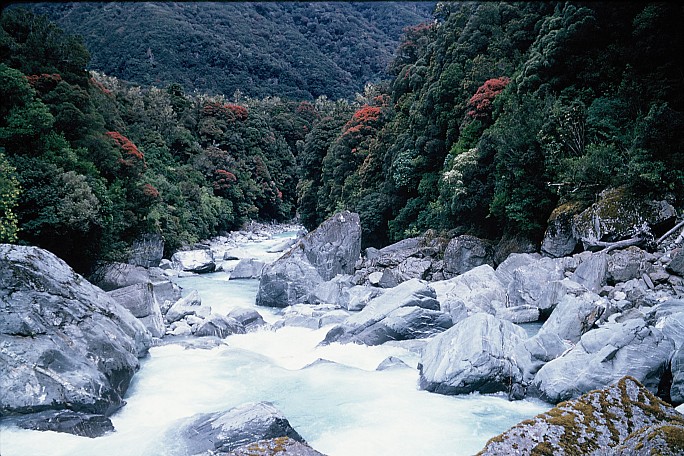 Before The Possums Came  1960-61
Photo:&nbsp;Bill Wheeler
Original size:&nbsp;3,360 x 2,240; 2,274 kB
Filename:&nbsp;'HIS-TTC-Bill Wheeler-Before The Possums Came 1960-61'