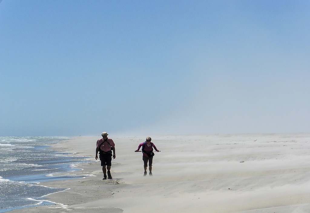 click on the photo to download the original image

BBL-TTC-Alan Graham-Betweentheseaandthesand FarewellSpit