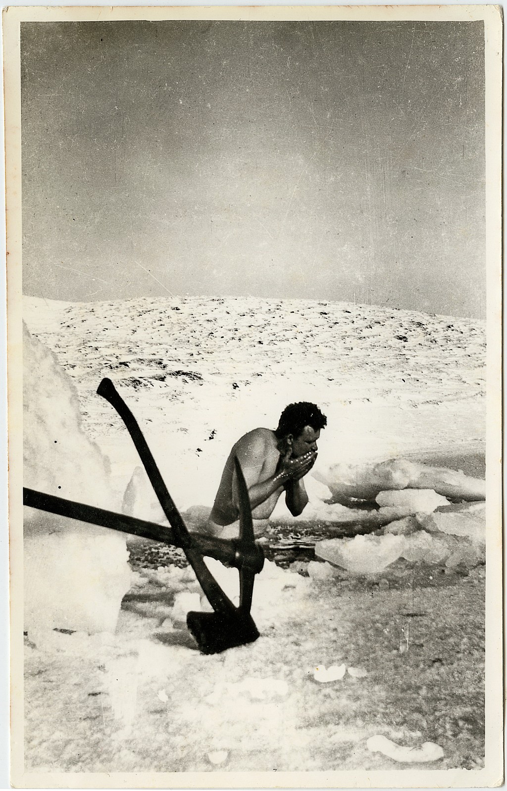 click on the photo to download the original image

19qq ttc190 Icy wash