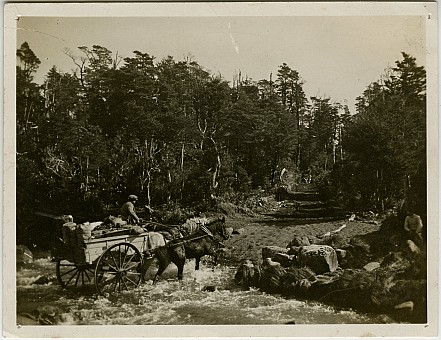 click on the photo and click again on the photo to download the original image

19qq ttc009 Dray crossing stream