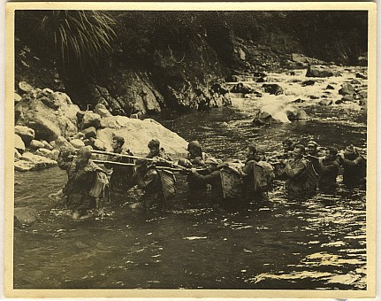 click on the photo and click again on the photo to download the original image

19qq ttc6 766 Rescue