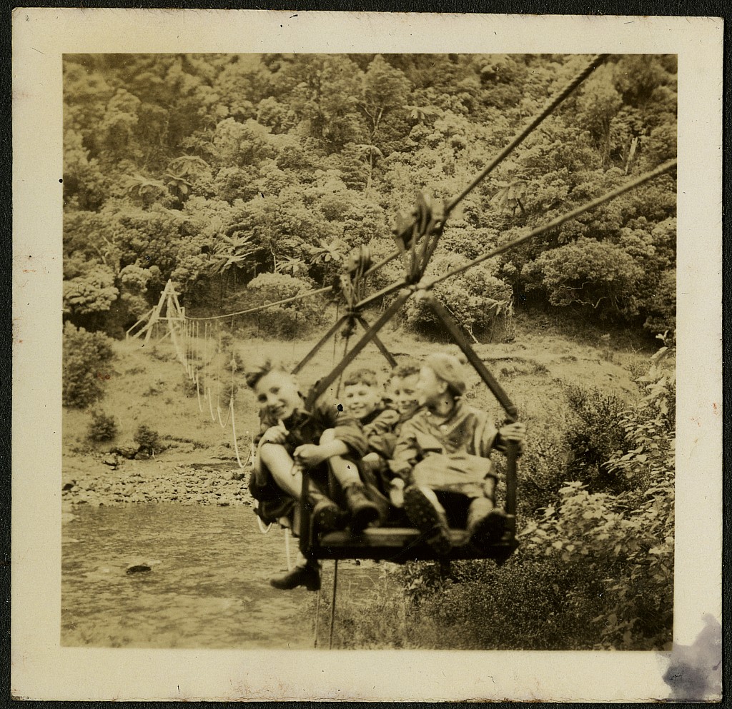 click on the photo to download the original image

19qq ttc444 On cage