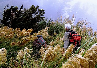 click to see gallery

Remutaka mist
Photo:&nbsp;Ogilvie
Photo:&nbsp;'2016 Jan 13 13:14'
Original size:&nbsp;3,383 x 2,350; 2,230 kB
Filename:&nbsp;'BBL TararuaTC Ogilvie Remutaka mist'
