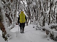 click to see gallery

Peggy Munn Winter Magic
Photo:&nbsp;Peggy Munn
Original size:&nbsp;1,024 x 768; 340 kB
Filename:&nbsp;'BBWTararuaTCPeggyMunnWinterMagic'