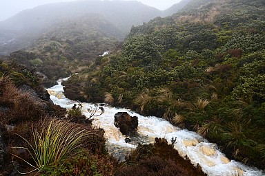 click to see gallery

Silica Rapids
Photo:&nbsp;Susi Lang
Photo:&nbsp;'2022 Jun 25 14:00'
Original size:&nbsp;2,506 x 1,671; 1,858 kB
Filename:&nbsp;'BBN TararuaTC Susi Lang Silica Rapids'