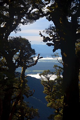 click to see gallery

A view through the trees
Photo:&nbsp;Peter Smith
Photo:&nbsp;'2022 Mar 23 07:51'
Original size:&nbsp;2,002 x 3,000; 4,507 kB
Filename:&nbsp;'BBN TararuaTC Peter Smith A view through the trees'