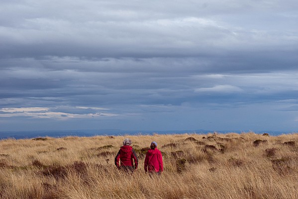 click to see gallery

Redcoats in the tussock
Photo:&nbsp;Jim Gibbons
Photo:&nbsp;'2023 Apr 19 09:34'
Original size:&nbsp;4,592 x 3,064; 1,404 kB
Filename:&nbsp;'ABW Tararua TC 100 Redcoats in the tussock Jim Gibbons'