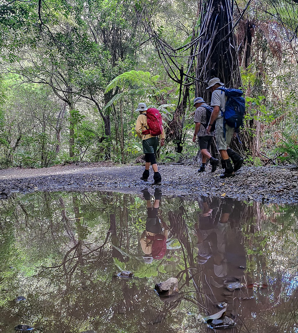 click on the photo to download the original image

BBW TararuaTC Sue Mahon Reflections at the end of a tramp