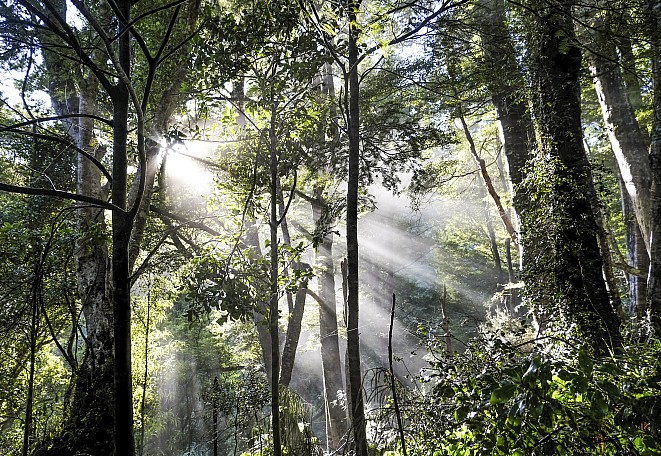 Morning sun
Photo:&nbsp;Kobus Boshoff
Photo:&nbsp;'2025 May 10 10:14'
Original size:&nbsp;5,773 x 3,981; 7,385 kB
Filename:&nbsp;'BBN TararuaTC Kobus Boshoff Morning sun'