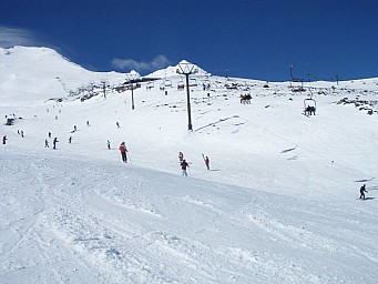 click to see gallery

PA
Photo:&nbsp;Sian
2008-10-02&nbsp;15.19.38&nbsp;Photo:&nbsp;'2008 Oct 02 15:19'
Original size:&nbsp;1,024 x 768; 91 kB
Filename:&nbsp;'2008-10-02 15.19.38 PA021721 Sian'